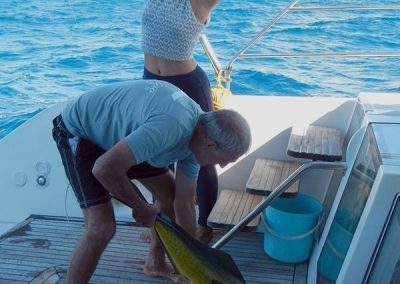 Enigma.Fishing.006 Gallery